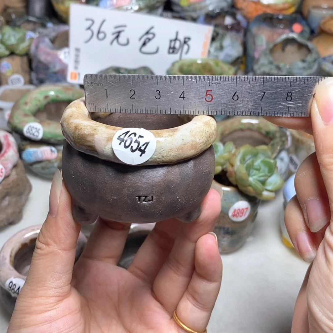 拍3送一个小礼物
