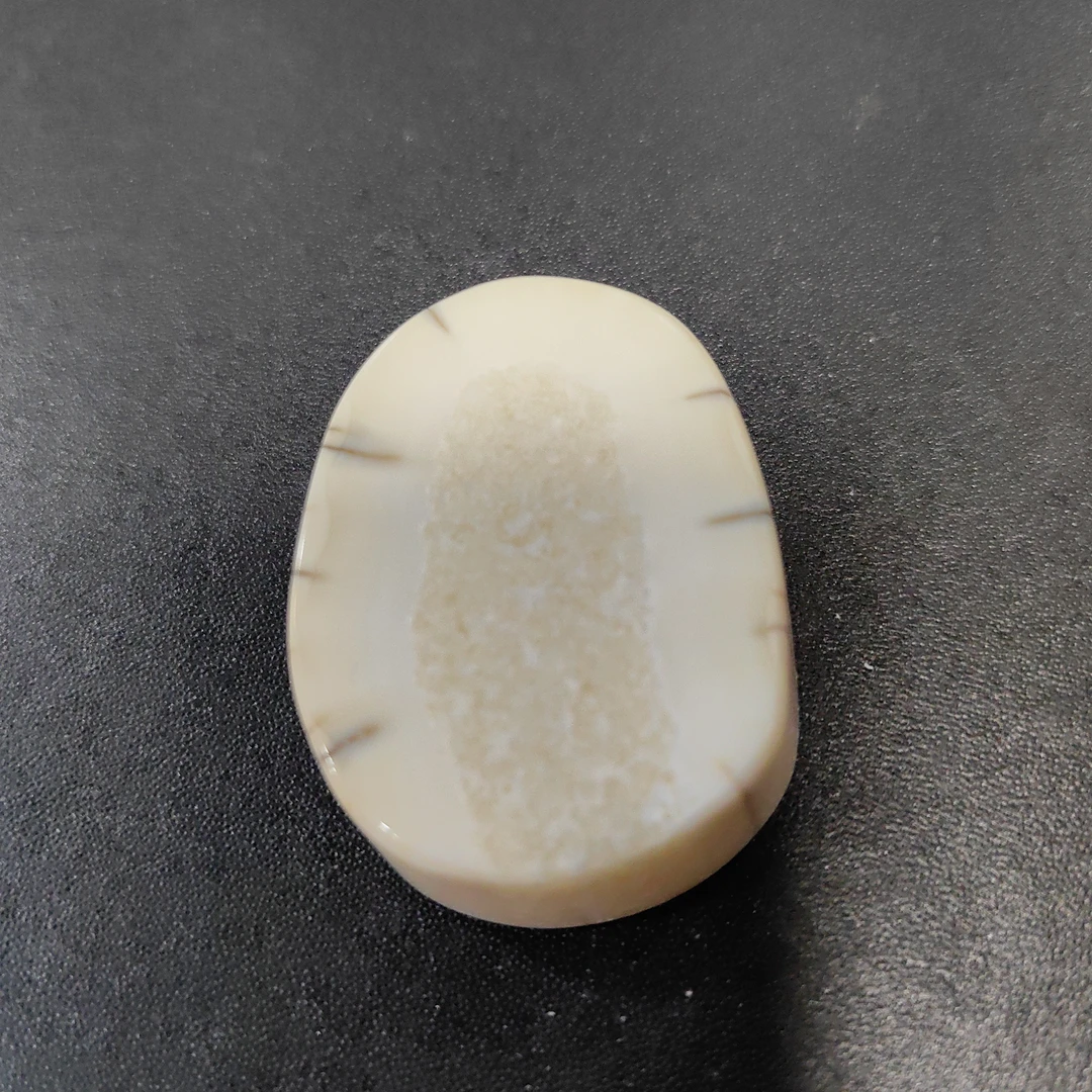 猛犸猛犸虬饼子  WT58