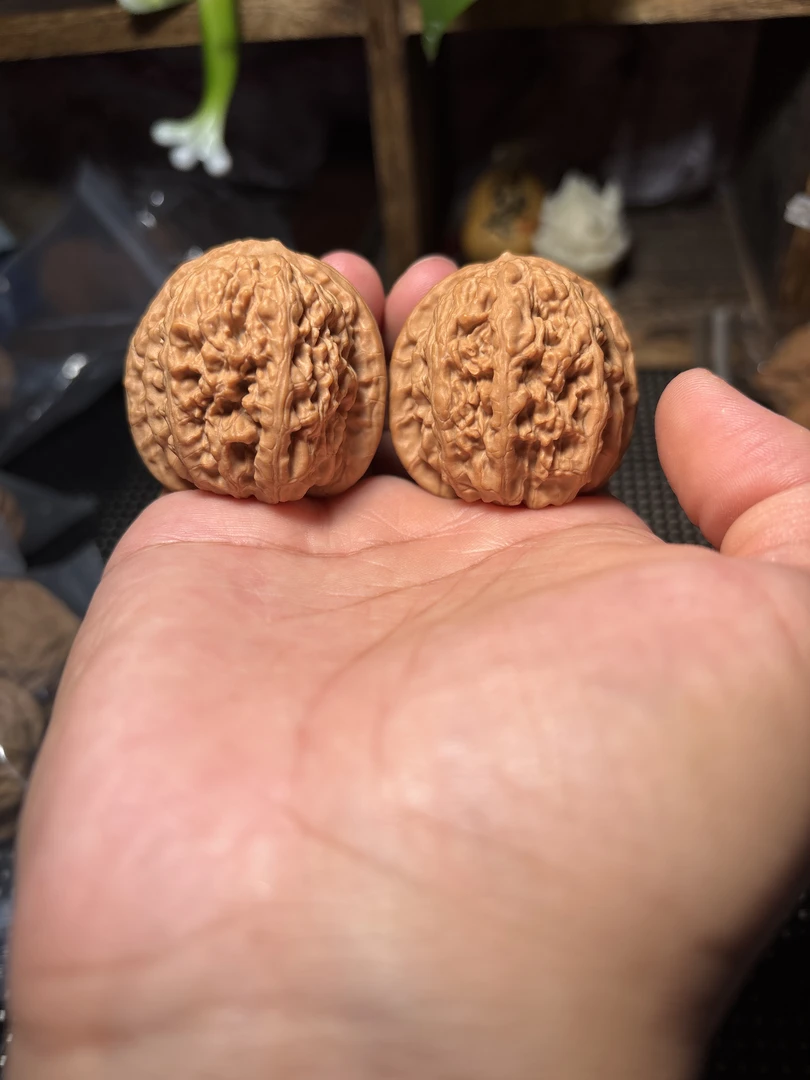 承德山地野生核桃