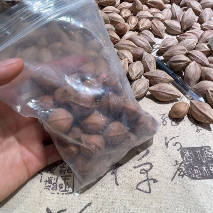 手串/手链橄榄核橄榄核