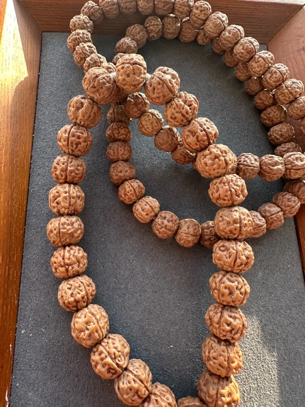 福利款小金刚恶魔之眼一物一图原皮原色