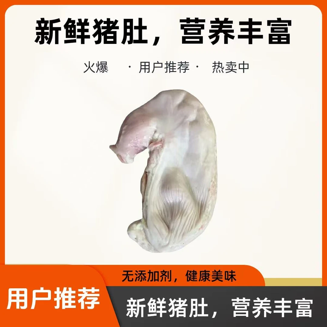 【顺丰包邮】新鲜优质猪肚大个厚实无油无水厂家直销