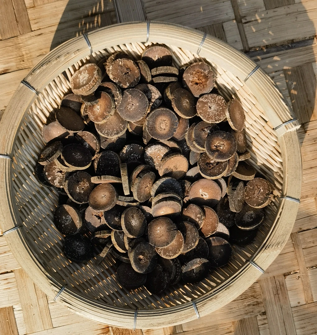 臻山味土特产   化菊～虹～菇