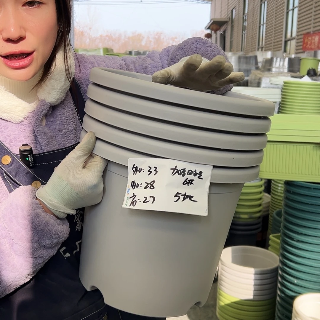 四季盆6#灰白5个无托