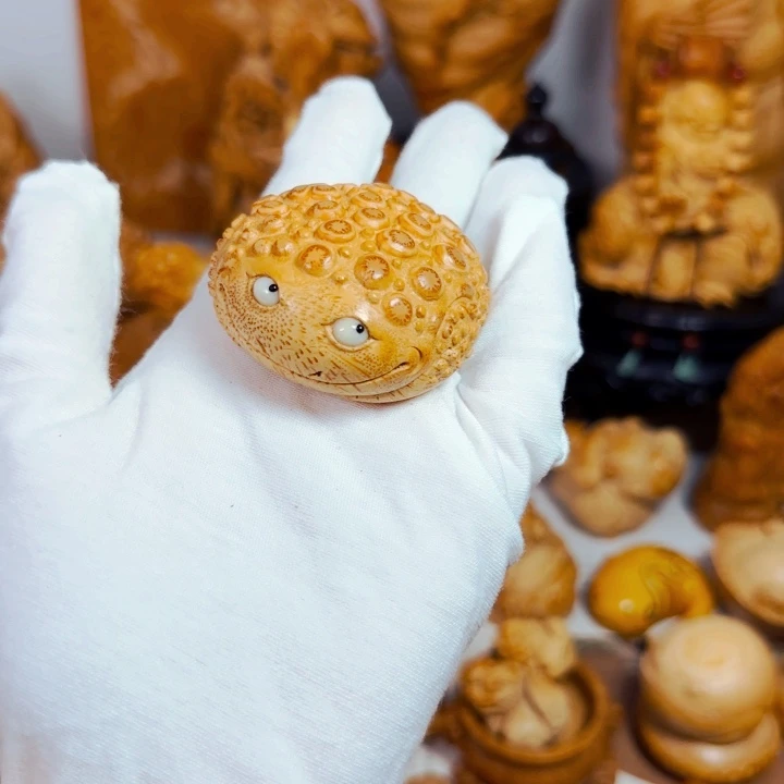 竹根竹根金蟾。