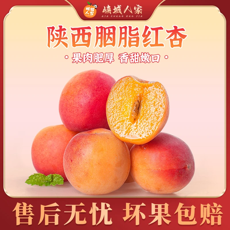 【峡城人家】陕西胭脂红杏2/4斤