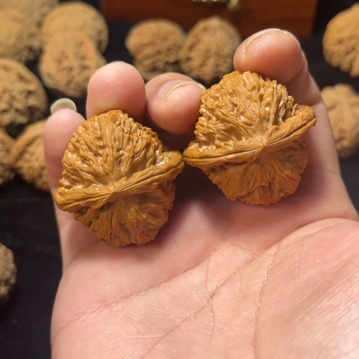 文玩核桃白狮子38尺