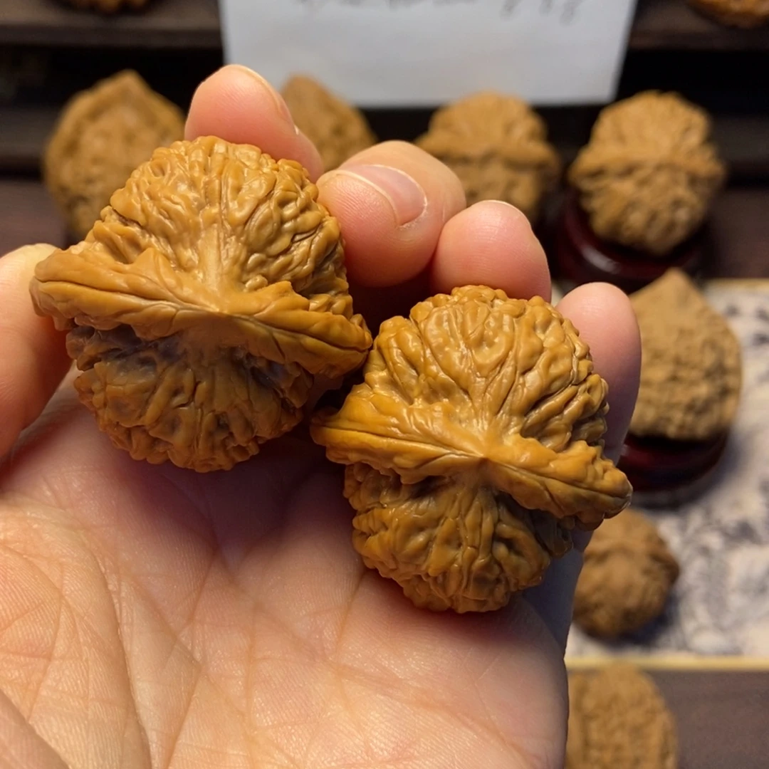 文玩核桃把件粗筋莲花37