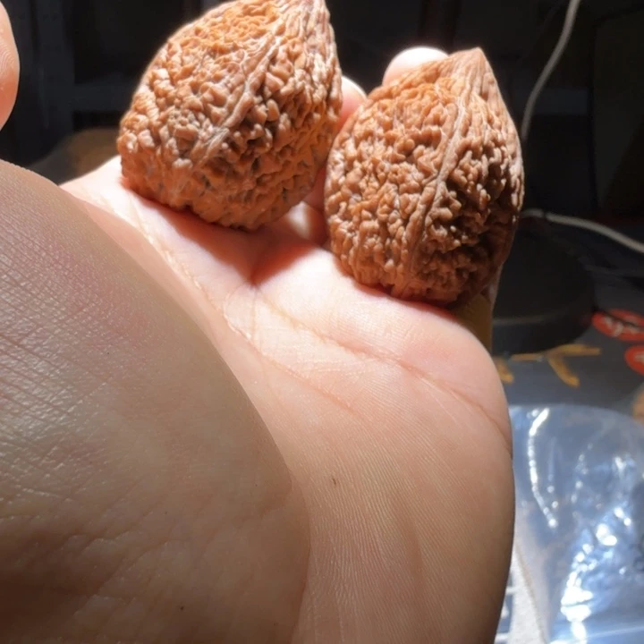 ****n文玩核桃把件大蒜头 天使之翼