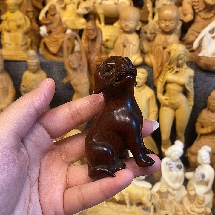 黄杨木黄杨木小叶瑕疵狗