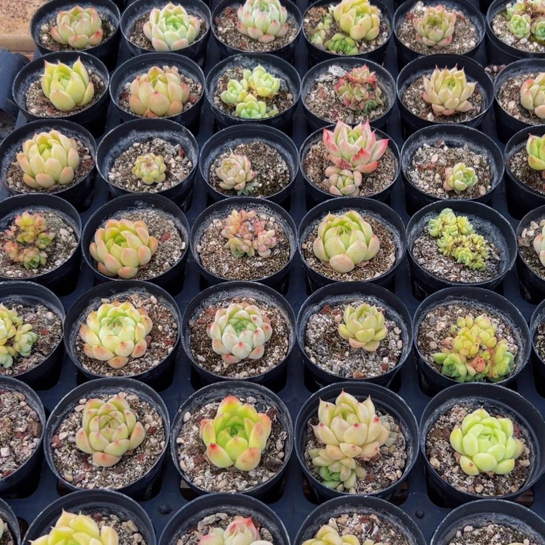 563脱土能力的提升将使我们