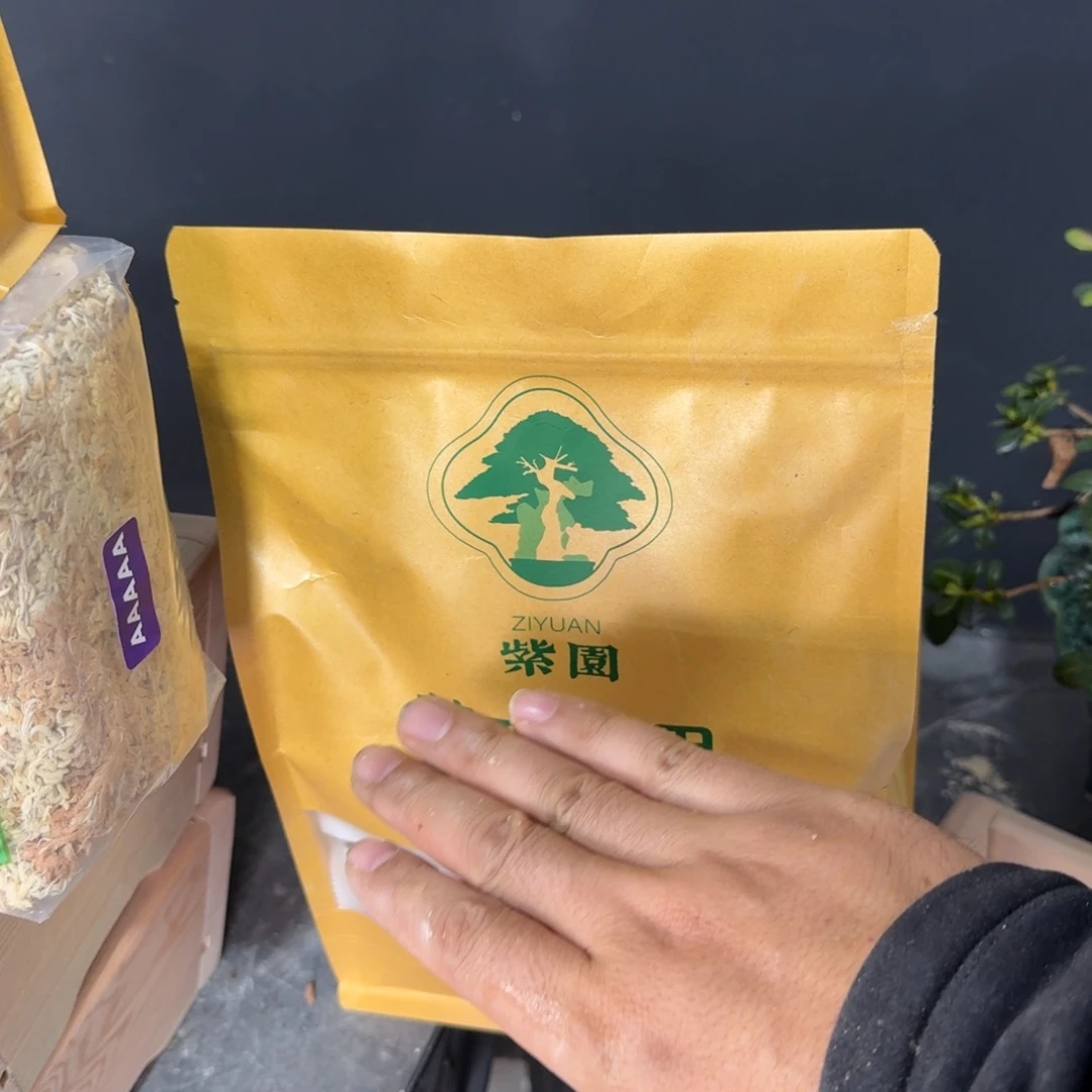 盆景盆景包邮紫园盆栽