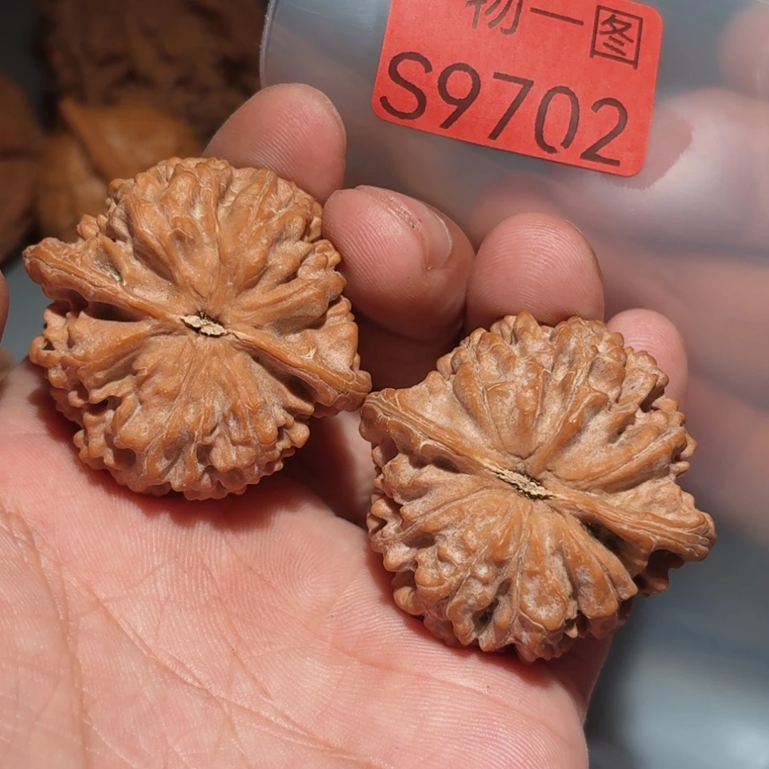 把件文玩核桃红珊瑚