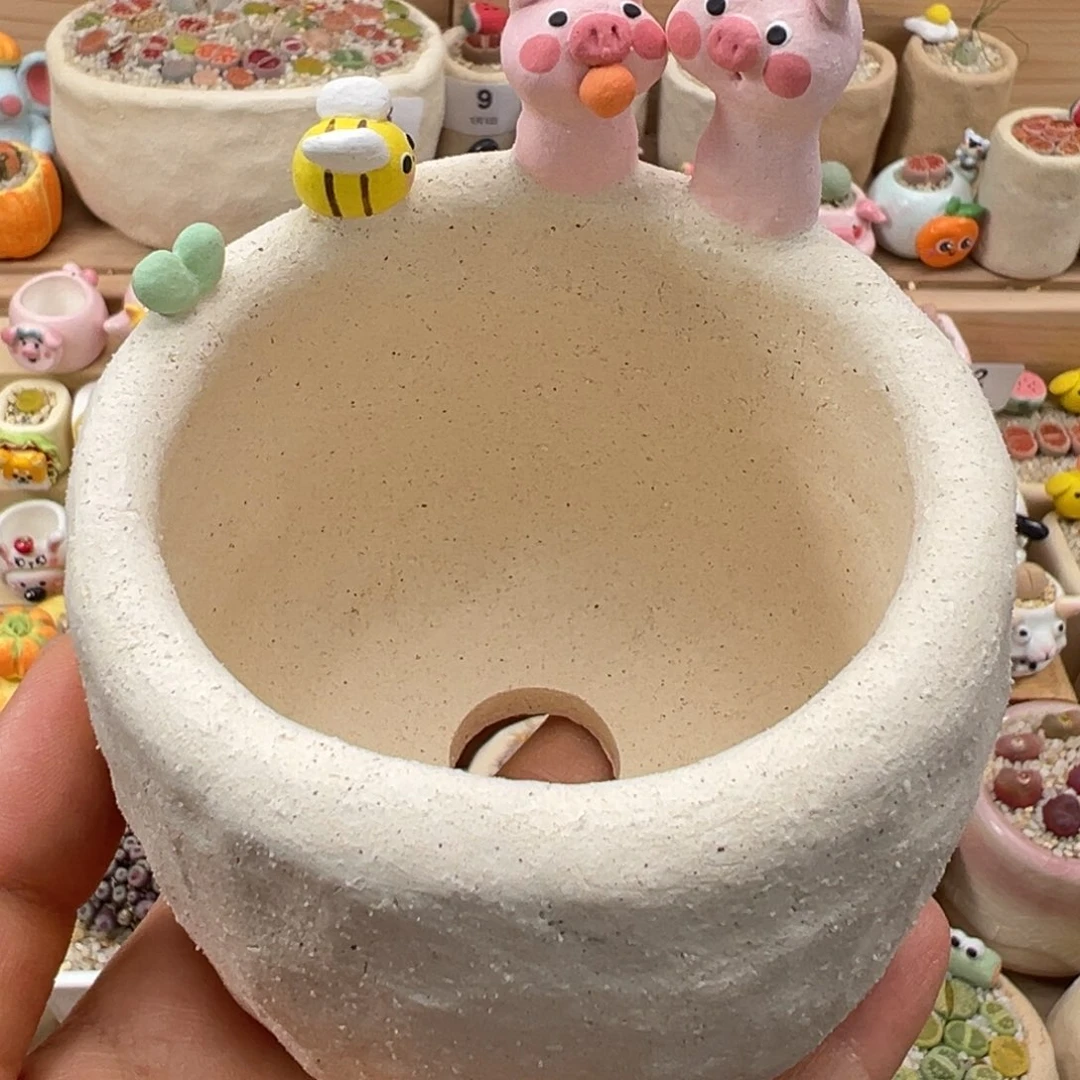 J***S多肉植物40号单独盆