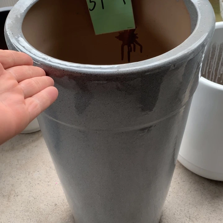 花盆里的小猫咪们都好可爱啊