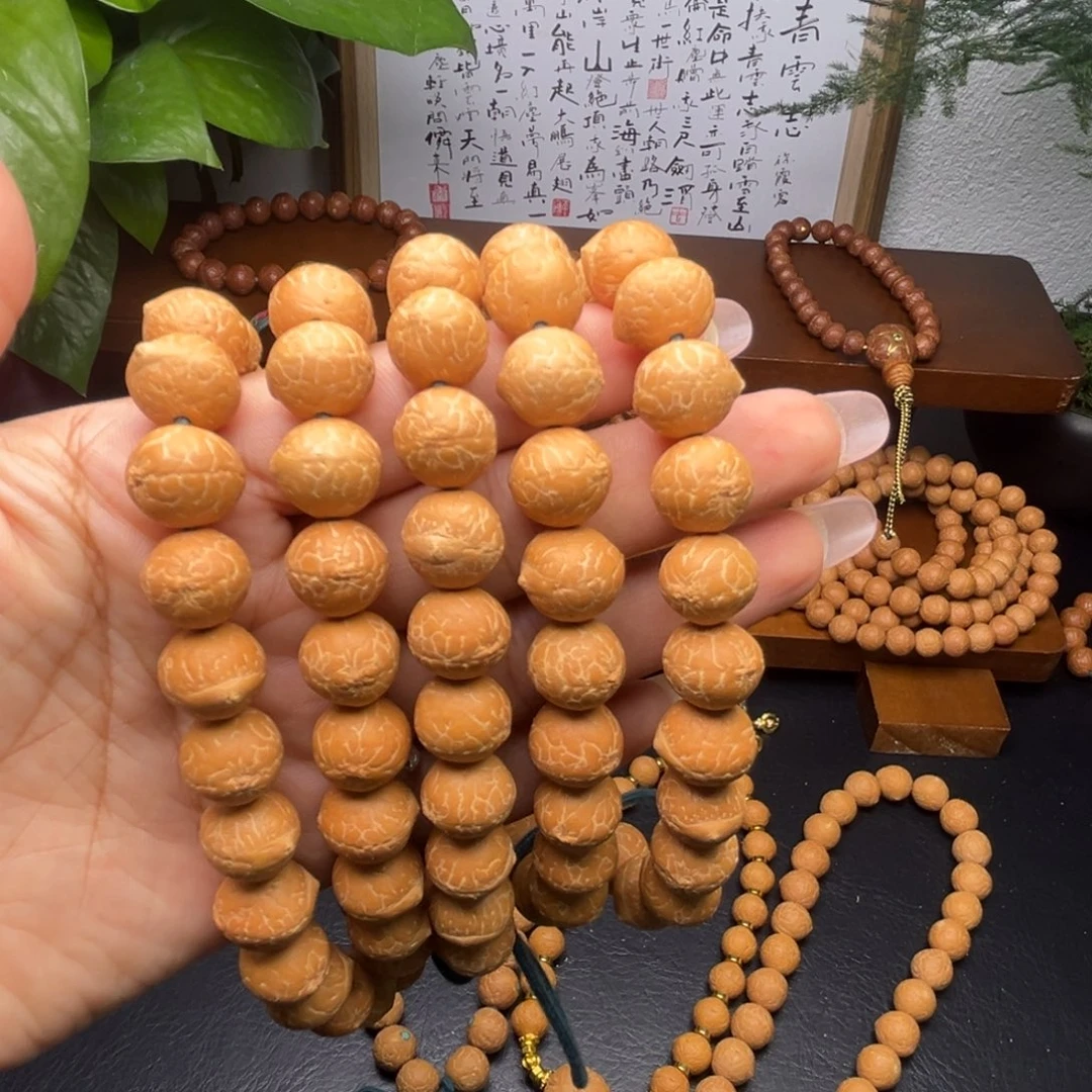 菩提籽类尼泊尔凤眼菩提