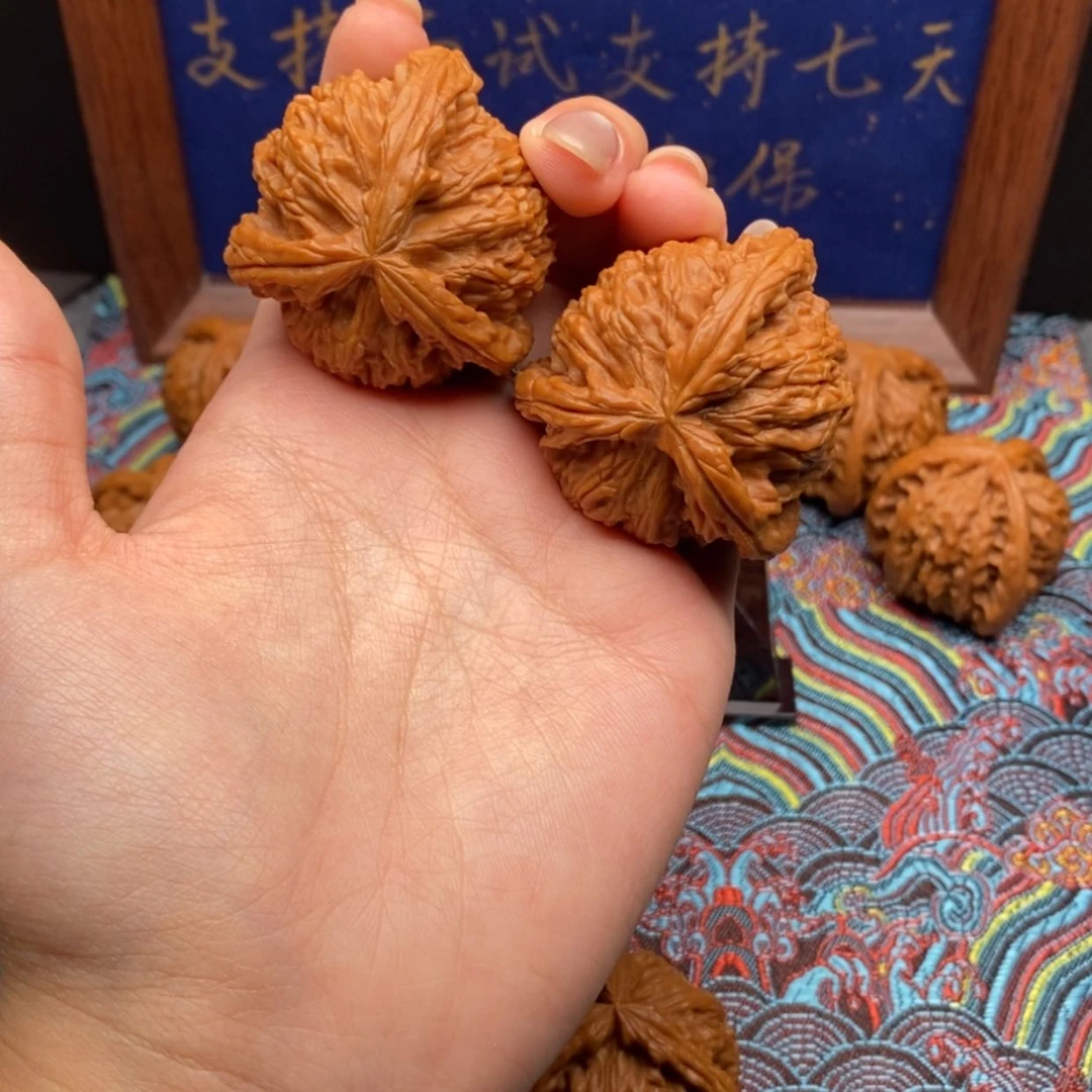 【闪购商品】宇****）白狮
