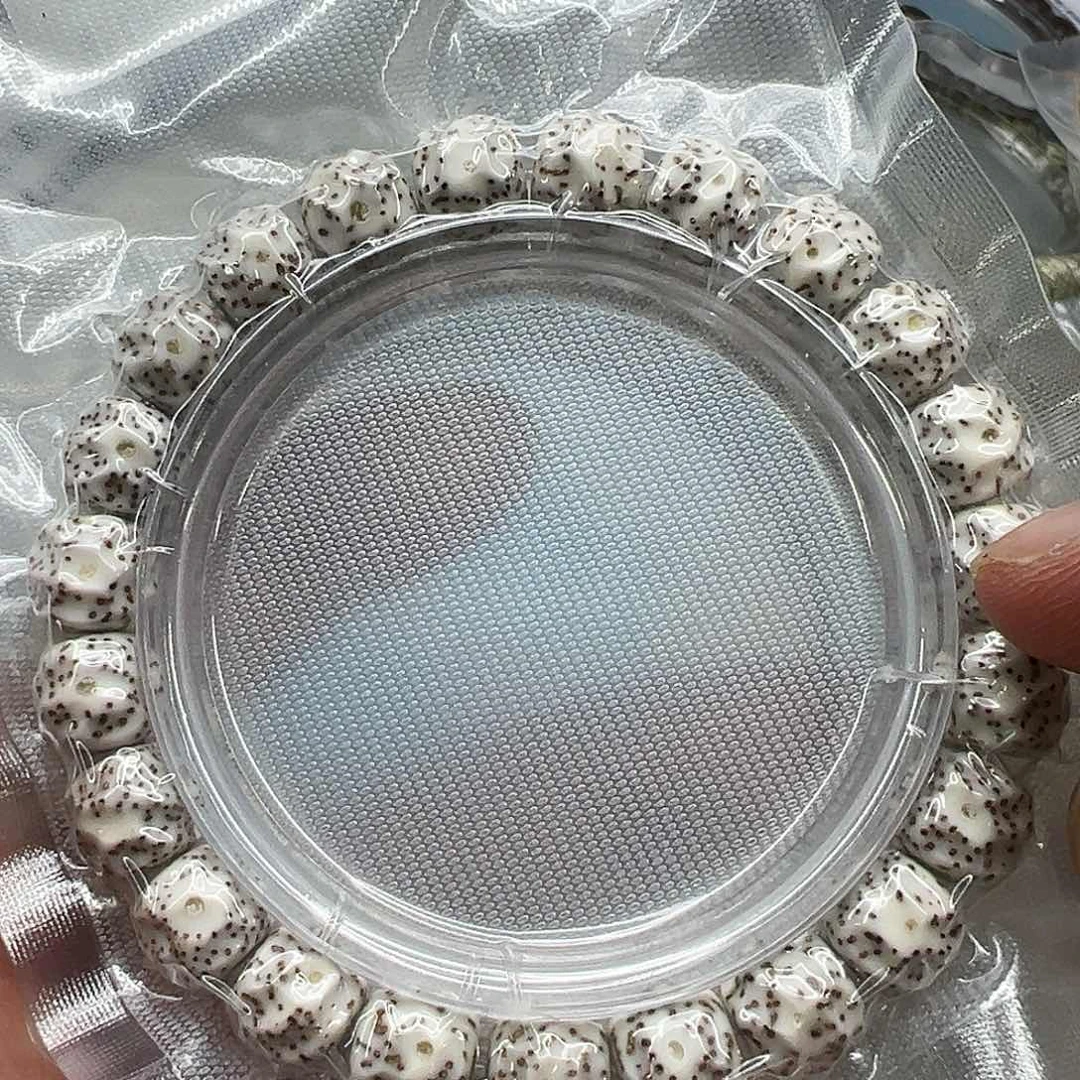 星月菩提手串138卓越原脂白星月菩提单圈无相1.0