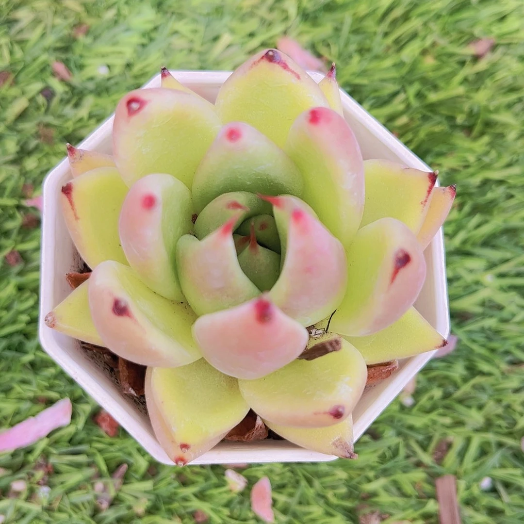 13号788888888888888888