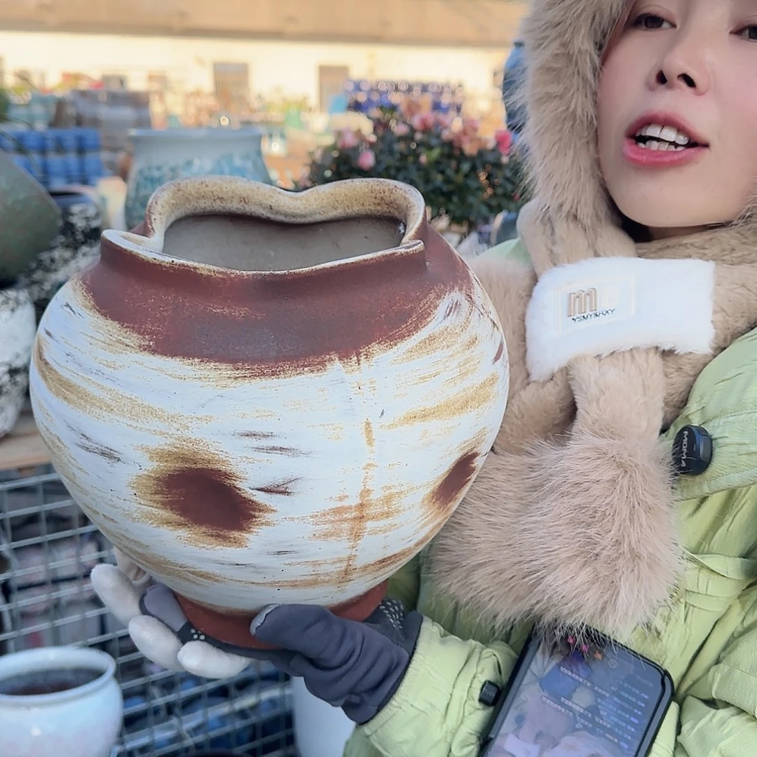 王嫂花盆直播1204-342高25口17