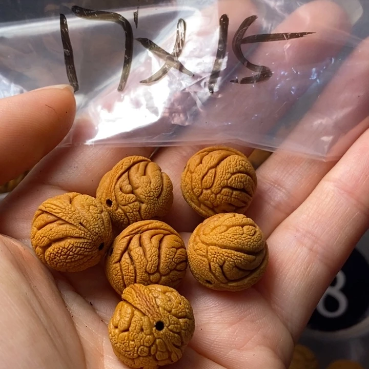 吊坠文玩核桃秦岭野生龙纹桃核17