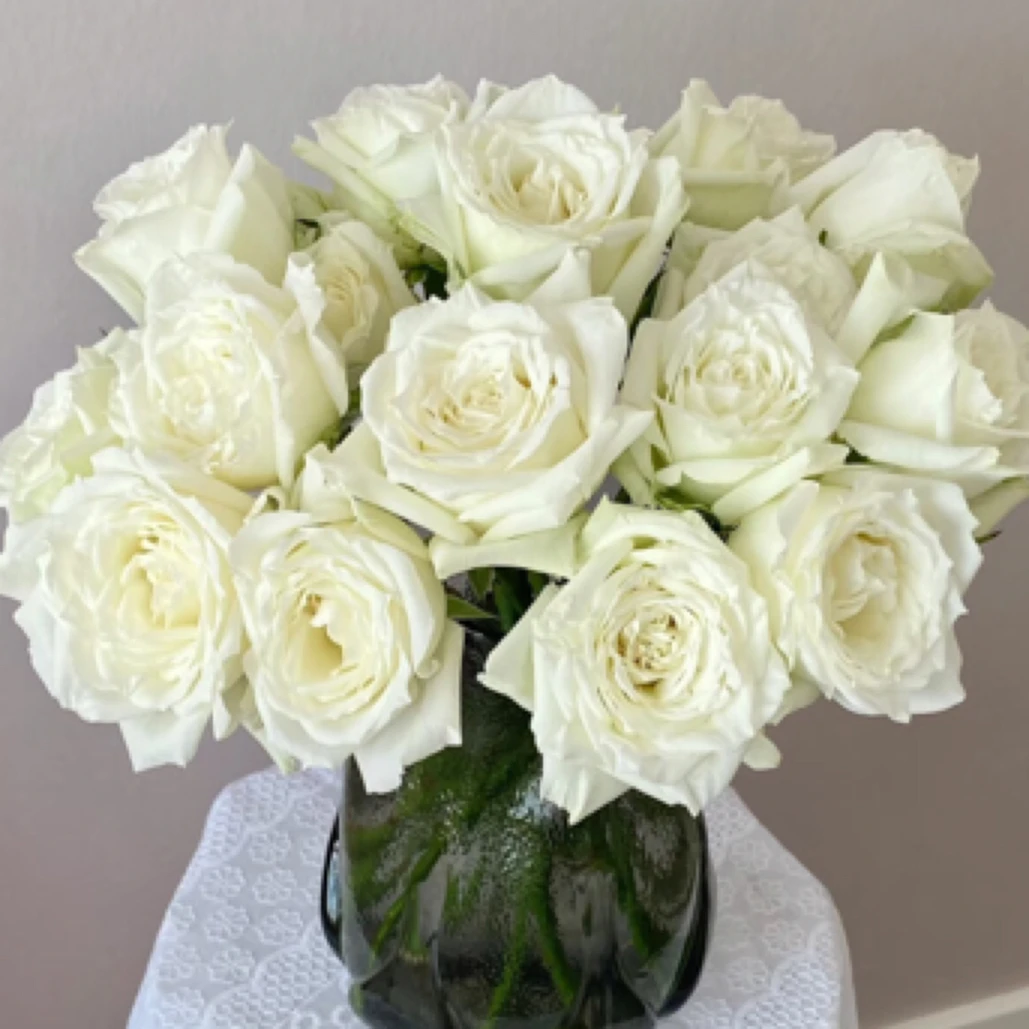 坦尼克玫瑰花10支装包邮到家