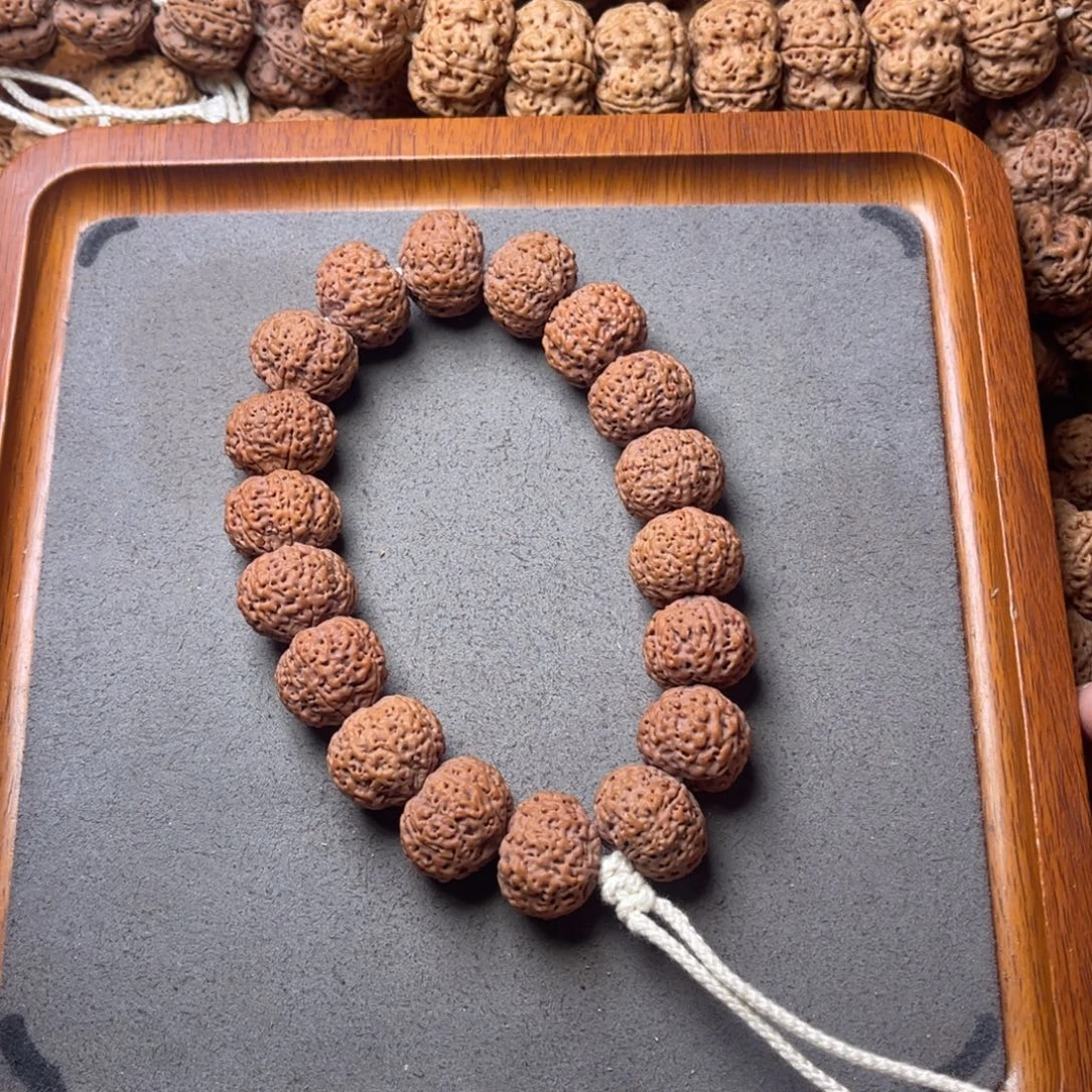 菩提籽类11号金刚菩提五星蜂王菠萝蜜18