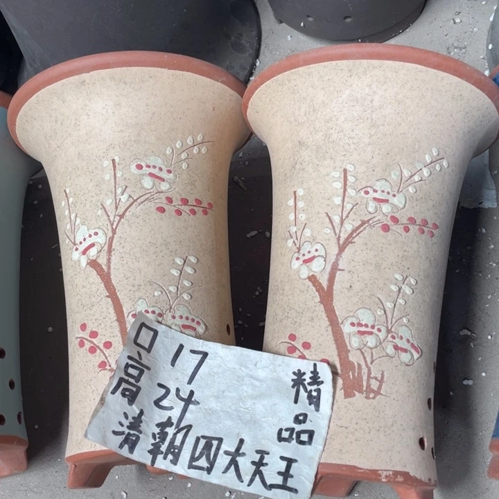紫砂紫砂紫砂紫砂紫砂