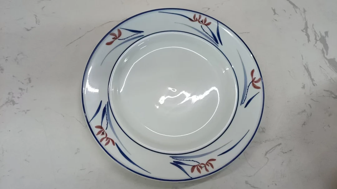 10‘’品逸圆盘7005212（5个）