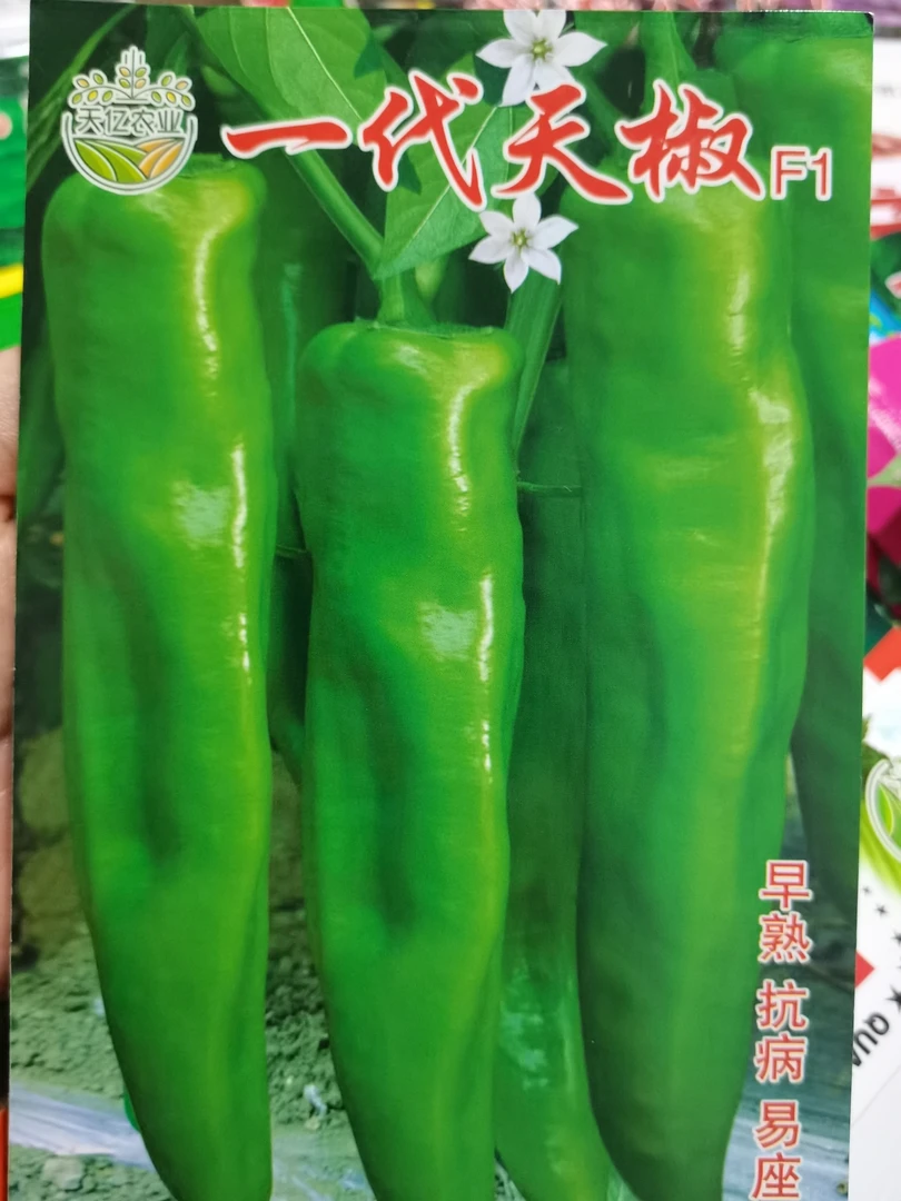 一代天骄大牛角150粒辣椒种子