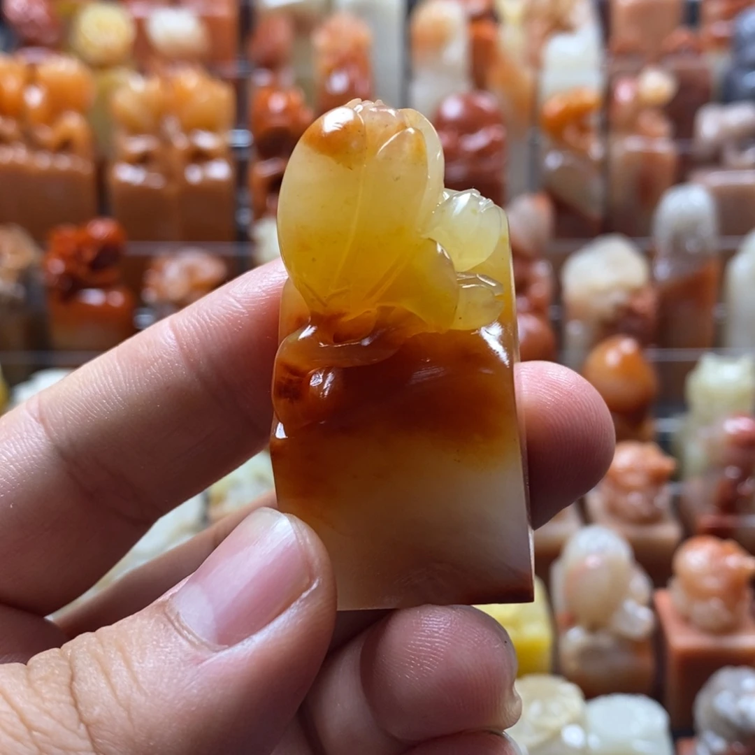 老挝石玉兰