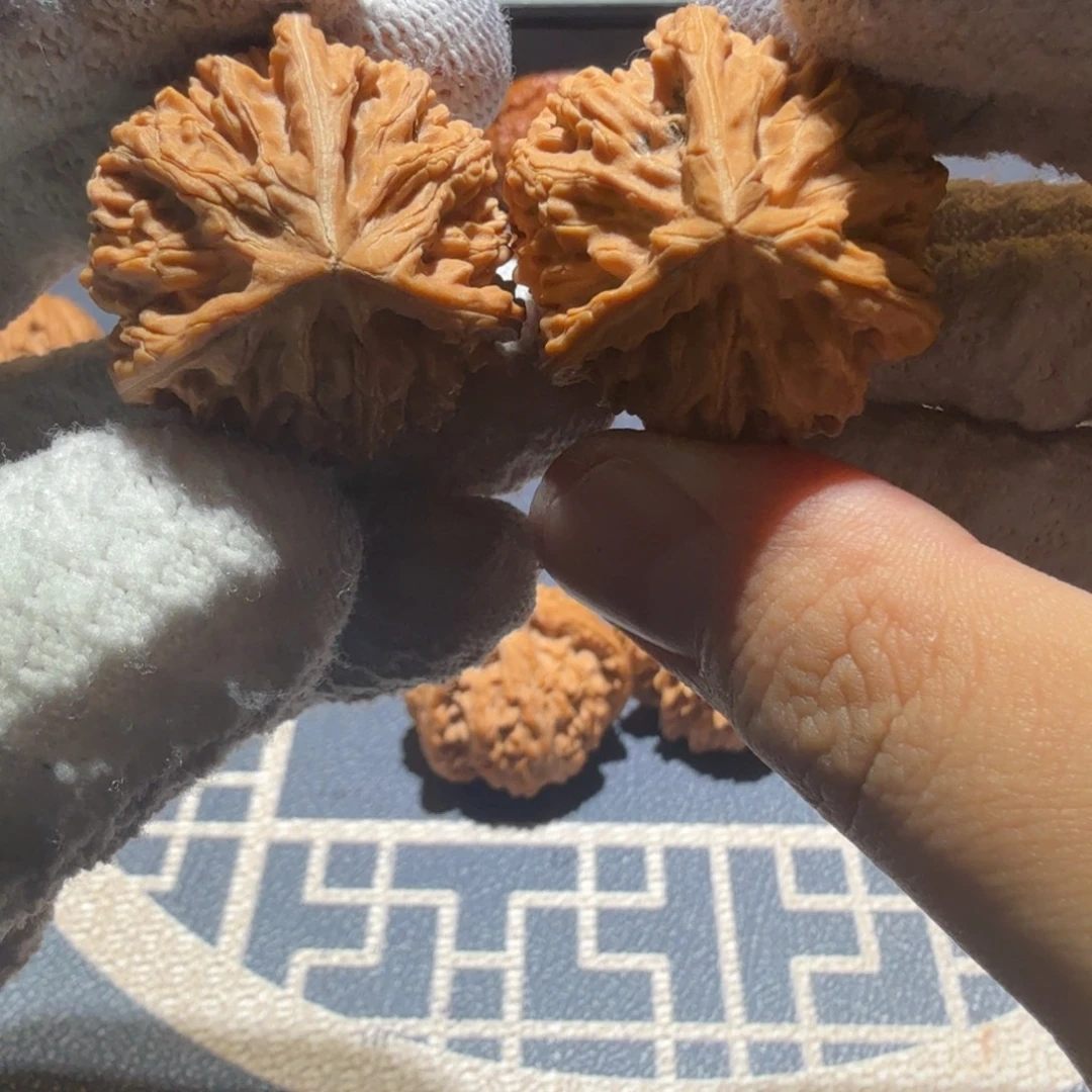 文玩核桃把件御龙正奔