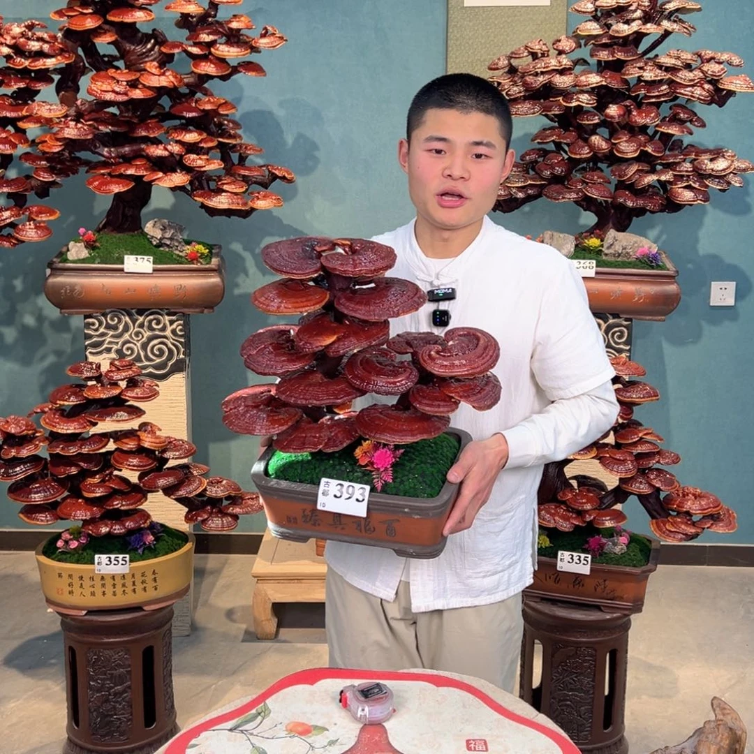 无花朵8888888888888