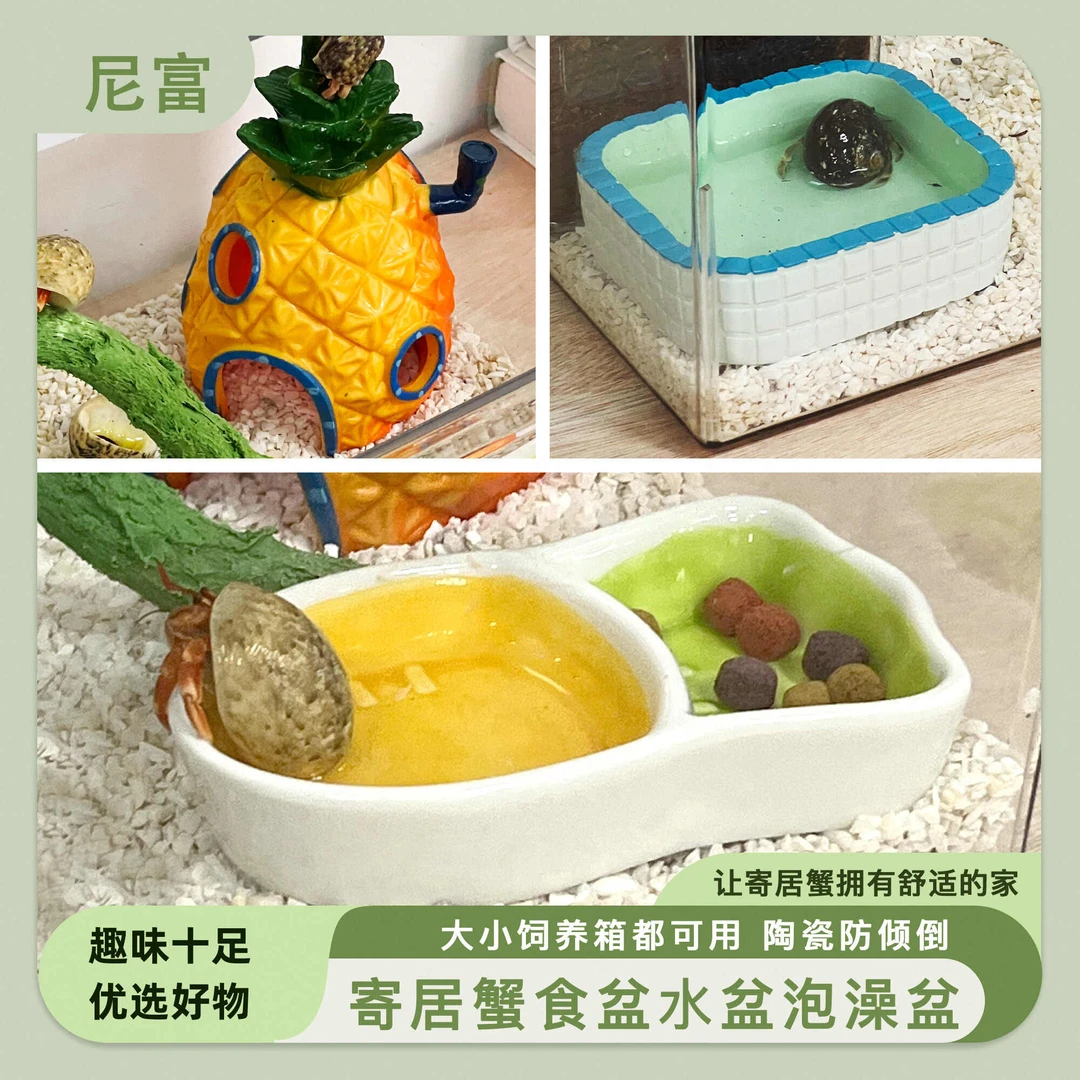 寄居蟹沙蟹攀爬躲避屋水盆食盆泡澡盆防溺水树脂陶瓷盆温度计