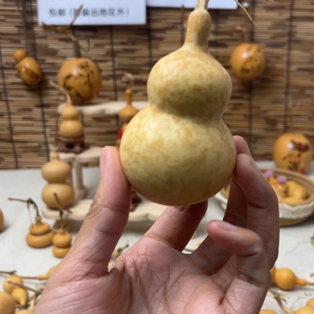 葫芦葫芦葫芦葫芦葫芦葫芦