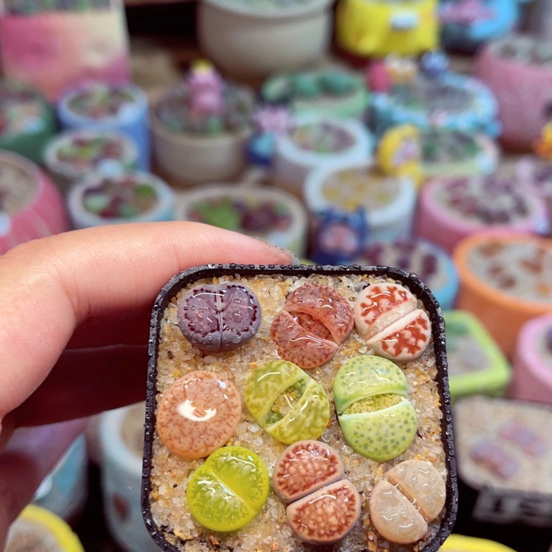 113 88888888888888888888