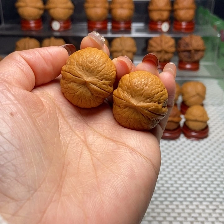 文玩核桃把件16粗筋钢弹