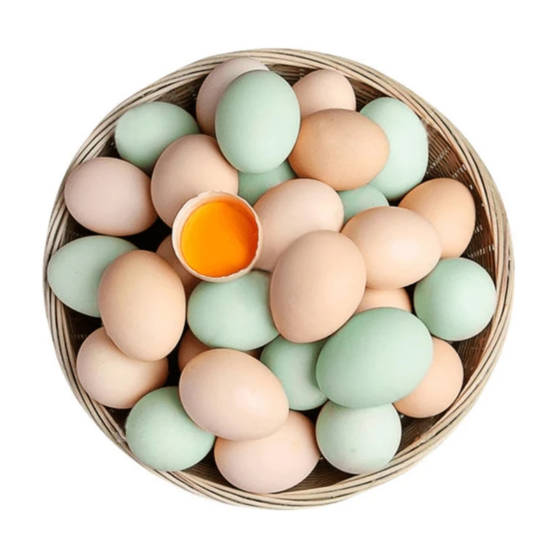 【农户好货】四川农村土鸡蛋山林散养土鸡土鸡蛋谷物喂养新鲜土鸡蛋