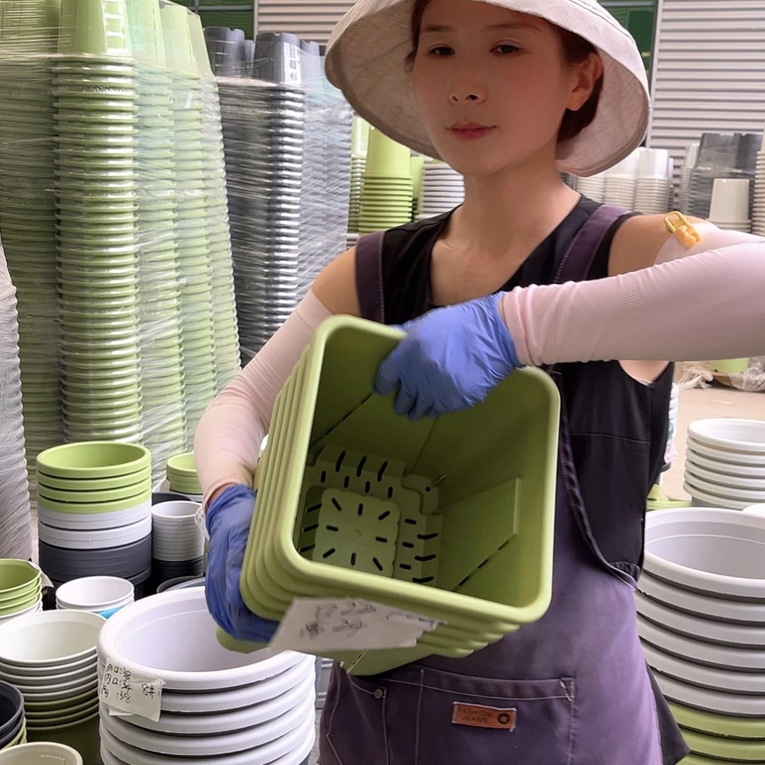 方口盆F22#果绿色5个无托