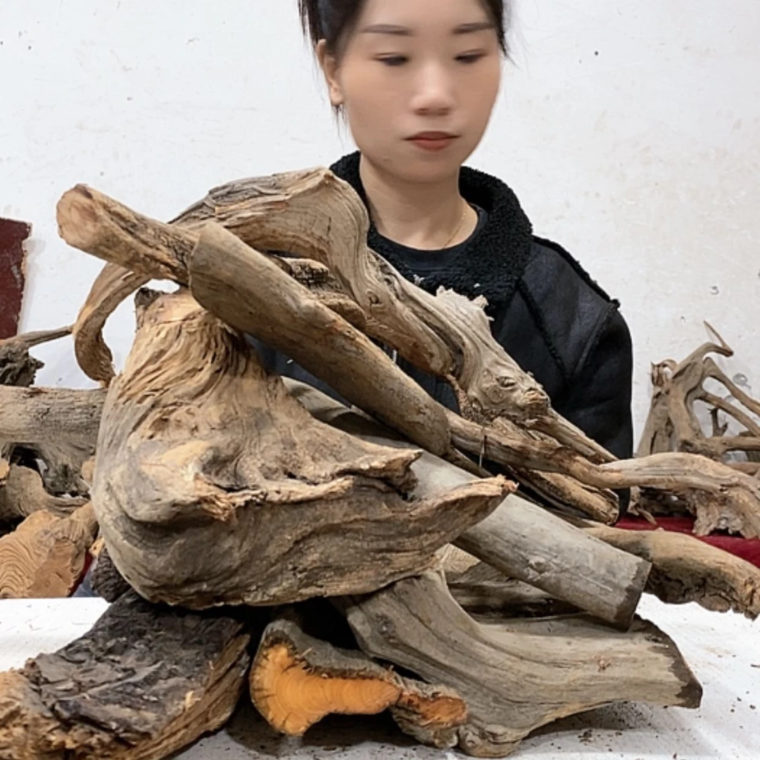 【闪购商品】柏木华**剑我们都是好孩子