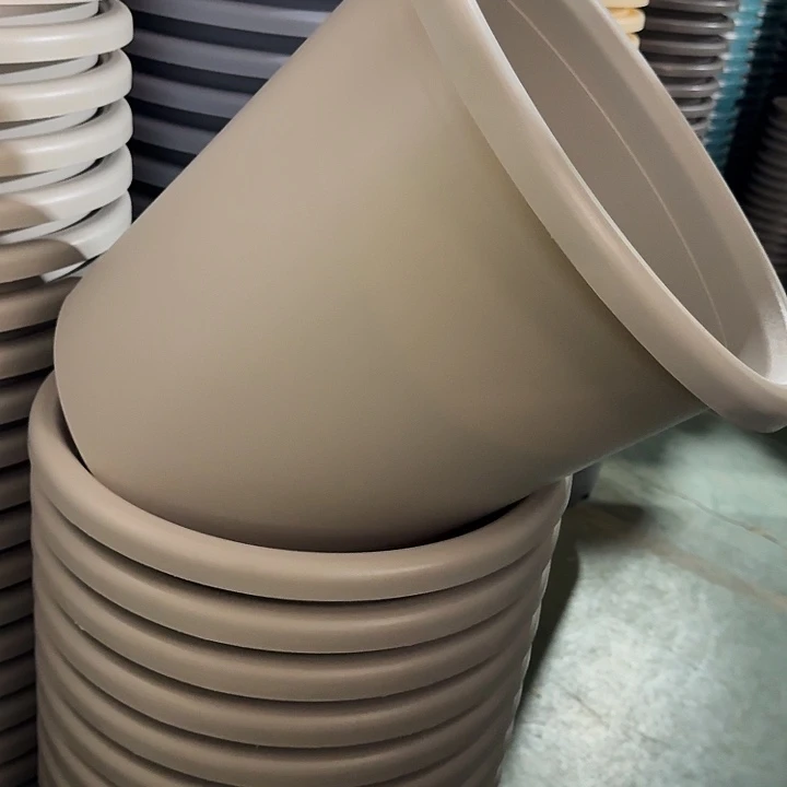 四季8号灰白无托5个特价微瑕