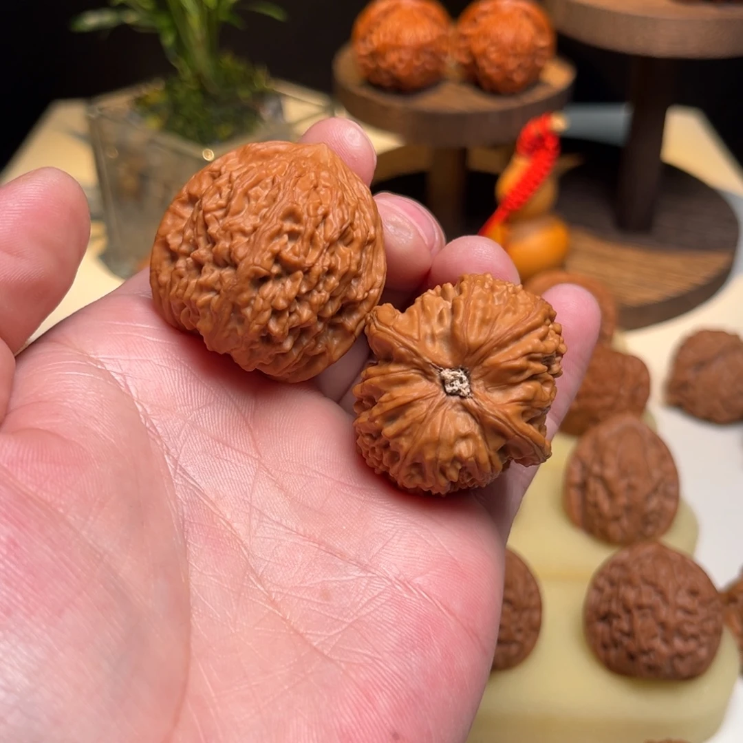 文玩核桃吊坠原树火麒麟