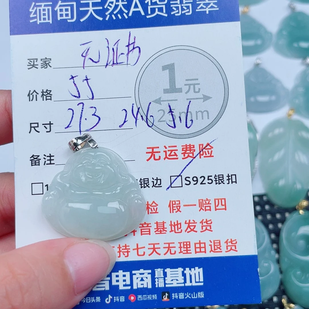 翡翠银S925镶嵌颈饰