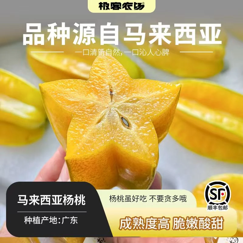 品种源自马来西亚的杨桃种在广东成熟度高，脆嫩酸甜，放放更香甜