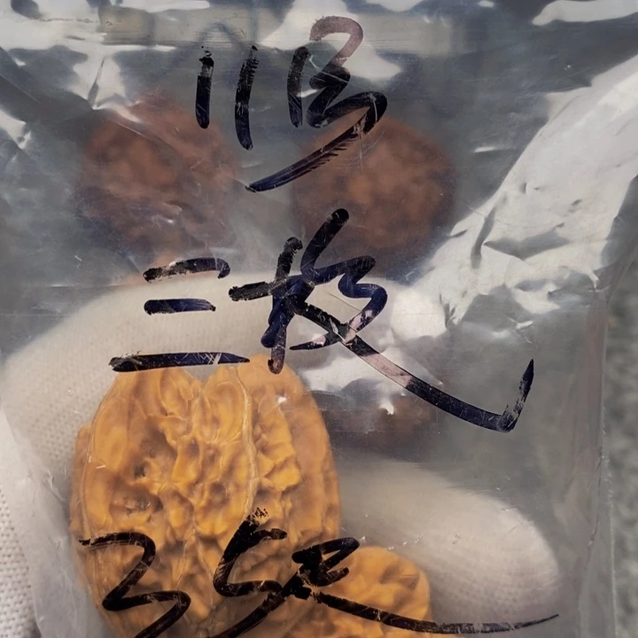 吊坠文玩核桃三棱