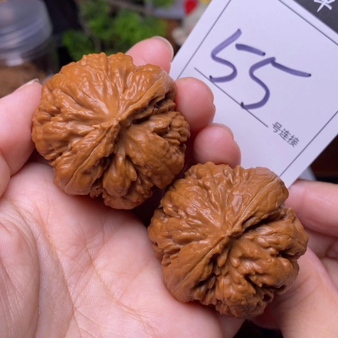 把件文玩核桃55霸王龙4.2