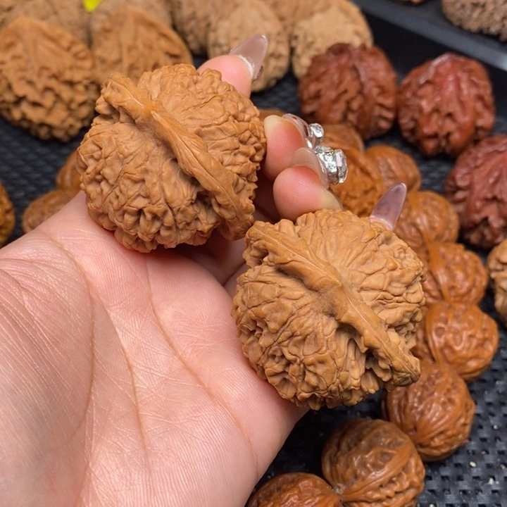 秦岭野生000000030