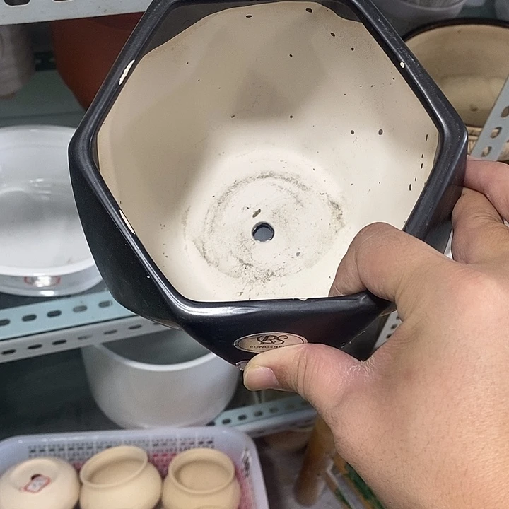 花盆抢购清货马上开始