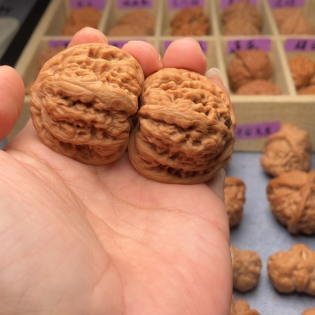 文玩核桃把件平谷九龙41（头货精品