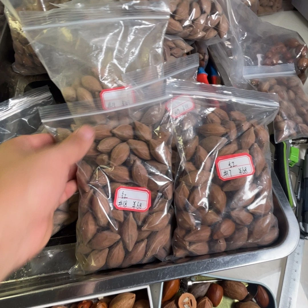 吊坠龙脊菩提果*